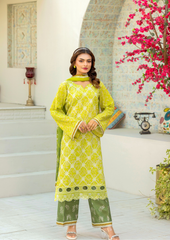 ELAYA 3 peice Graceful Traditions