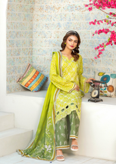 ELAYA 3 peice Graceful Traditions