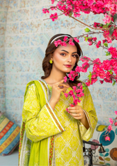 ELAYA 3 peice Graceful Traditions