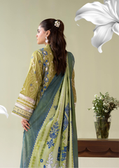 SURMAI 3 peice Mint Fresh